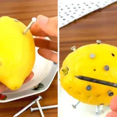 Esperimento fai da te: limone con chiodi per simulare un chelato di ferro.