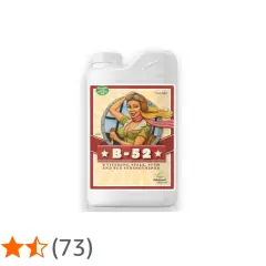 Flacone di B-52 Advanced Nutrients, un rinforzante per steli e fiori con vitamine B.