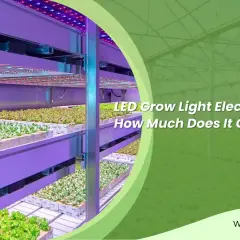 Piante in grow box illuminate da LED. Scopri quanto consuma una grow box per ottimizzare la tua coltivazione.