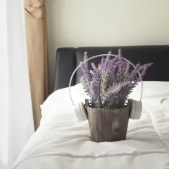 Pianta di lavanda in vaso con cuffie, su un letto in camera da letto.