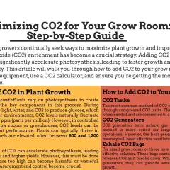 Guida per ottimizzare la crescita delle piante con una sonda CO2, spiegando il ruolo del CO2 e come aggiungerlo in una grow room.