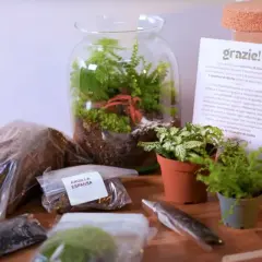 Kit per creare un terrario, un vero grow box fai da te. Include terriccio, argilla espansa e piante.