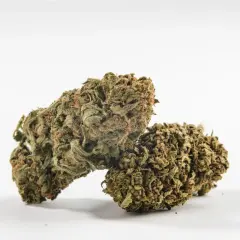 Due cime di cannabis, con sfumature verdi e arancioni, pronte per un bioboost naturale.