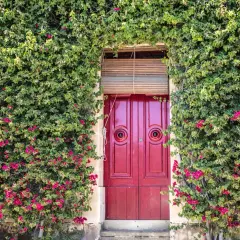 Un ingresso incantevole con una porta rossa vivace, incorniciata da rigogliose piante rampicanti da interno cariche di fiori fucsia.