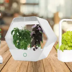 Tre eleganti sistemi idroponici con erbe aromatiche e ortaggi rigogliosi, pronti per essere raccolti.
