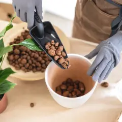 Mani guantate aggiungono argilla espansa in un vaso, ideale per il drenaggio di molte piante.