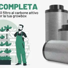 Guida alla scelta del giusto filtro a carbone attivo per la tua growbox. Un uomo cura le piante su scaffali, mentre diversi filtri sono in primo piano.