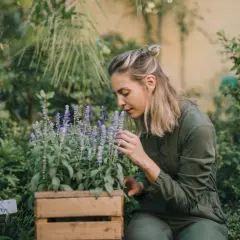 Donna annusa fiori viola in un progetto angolo erbe aromatiche in giardino.
