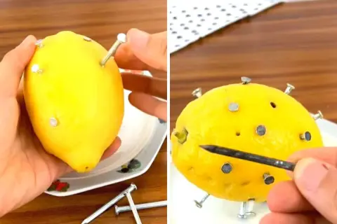 Esperimento fai da te: limone con chiodi per simulare un chelato di ferro.