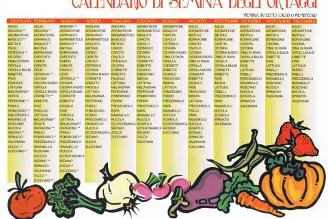 Calendario semina ortaggi: cosa piantare mese per mese, con verdure e ortaggi illustrati.
