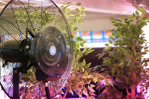 Ventilatore nero tra piante verdi, creando un'atmosfera di prima klima.