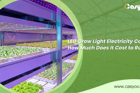 Piante in grow box illuminate da LED. Scopri quanto consuma una grow box per ottimizzare la tua coltivazione.