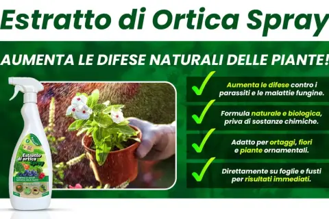 Spray di ortica, un insetticida naturale che potenzia le difese delle piante contro parassiti e malattie. Formula biologica per ortaggi e fiori.