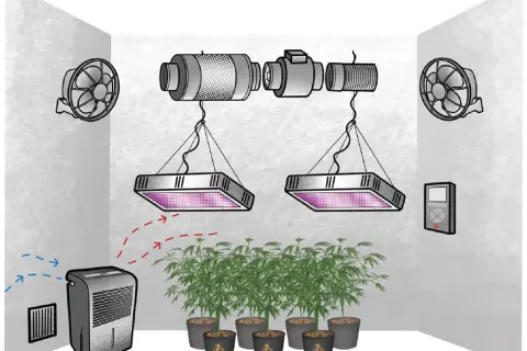 Sistema di coltivazione indoor con luci LED, ventilatori, estrattore e deumidificatore per controllare l'ambiente, specialmente quando l'umidità è alta.