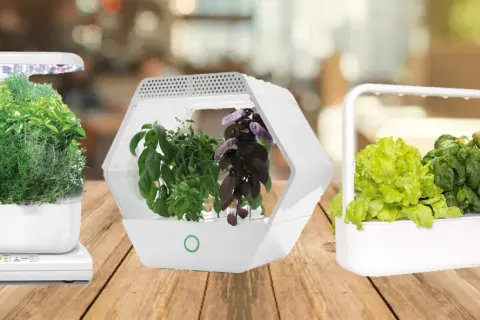 Tre eleganti sistemi idroponici con erbe aromatiche e ortaggi rigogliosi, pronti per essere raccolti.