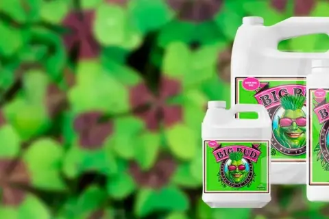 Flaconi di fertilizzante Big Bud di Advanced Nutrients, per un nirvana di crescita rigogliosa.