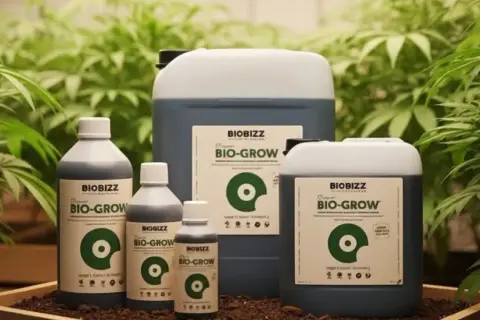 Bottiglie e taniche di fertilizzante BIOBIZZ BIO-GROW in un ambiente con piante verdi. Un light mix per la crescita.