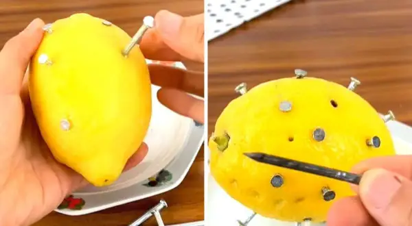 Esperimento fai da te: limone con chiodi per simulare un chelato di ferro.