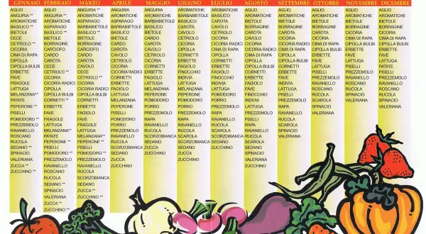 Calendario semina ortaggi: cosa piantare mese per mese, con verdure e ortaggi illustrati.