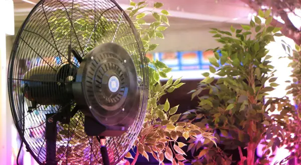 Ventilatore nero tra piante verdi, creando un'atmosfera di prima klima.