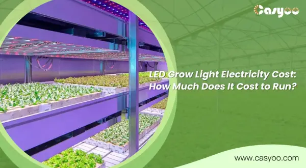 Piante in grow box illuminate da LED. Scopri quanto consuma una grow box per ottimizzare la tua coltivazione.