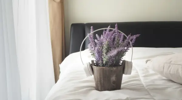 Pianta di lavanda in vaso con cuffie, su un letto in camera da letto.