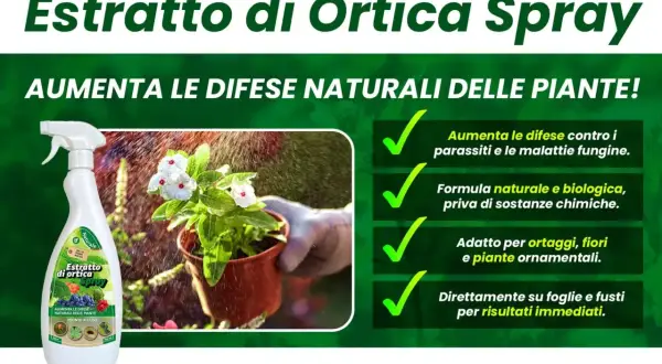 Spray di ortica, un insetticida naturale che potenzia le difese delle piante contro parassiti e malattie. Formula biologica per ortaggi e fiori.
