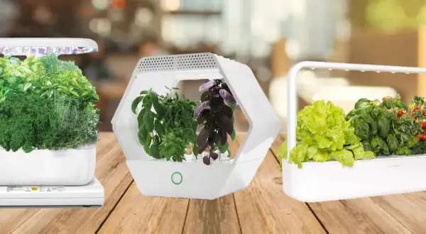 Tre eleganti sistemi idroponici con erbe aromatiche e ortaggi rigogliosi, pronti per essere raccolti.