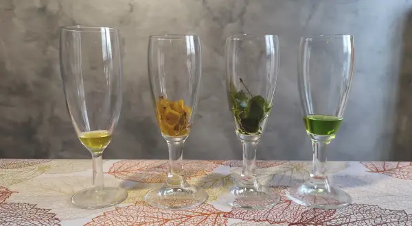 Quattro bicchieri con liquidi colorati e foglie. Il verde brillante suggerisce la clorofilla, essenziale per la fotosintesi.