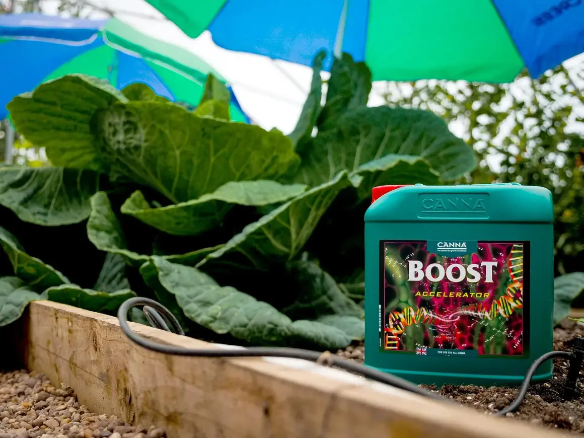 Flacone di CANNA BOOST Accelerator accanto a piante rigogliose. Un aiuto per la crescita.
