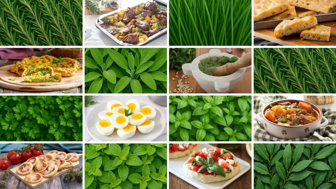 Un elenco completo di erbe aromatiche: rosmarino, basilico, salvia, prezzemolo, origano, alloro, e altro ancora, in un collage di sapori.