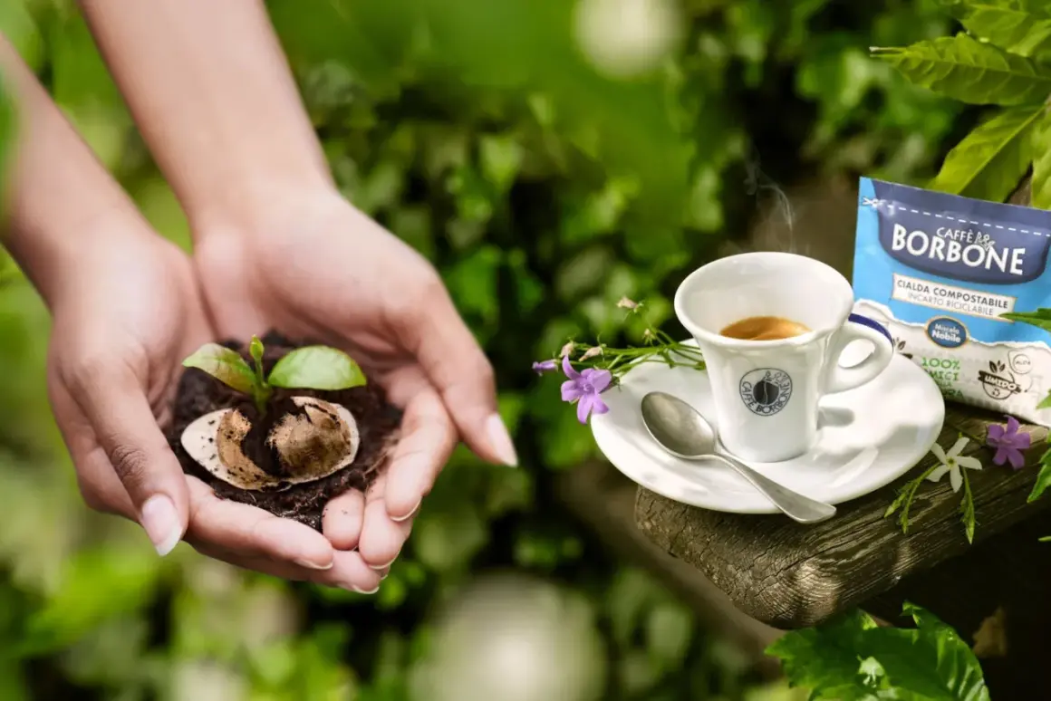Mani che sorreggono un germoglio, con una tazzina di caffè Borbone e un sacchetto di cialde compostabili. I fondi di caffè per ortensie nutrono la vita.