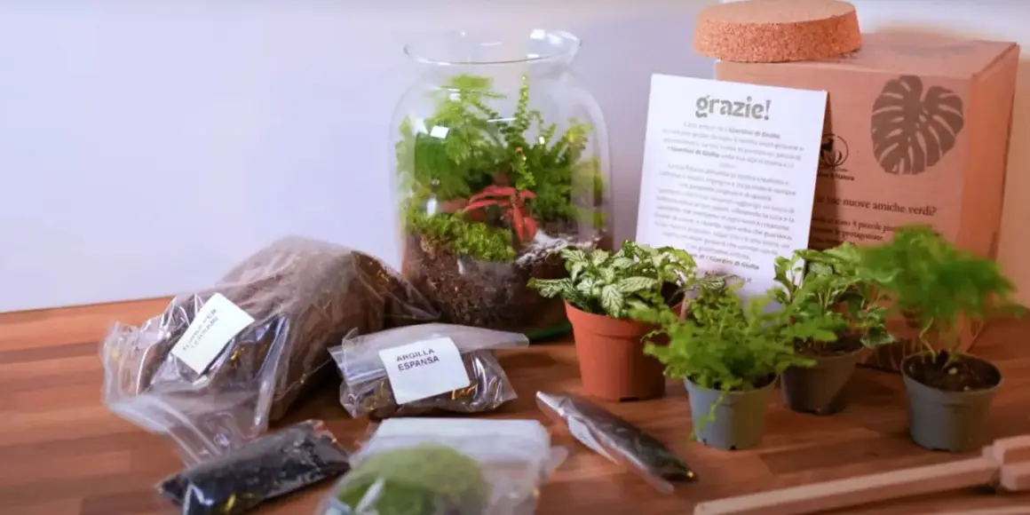Kit per creare un terrario, un vero grow box fai da te. Include terriccio, argilla espansa e piante.