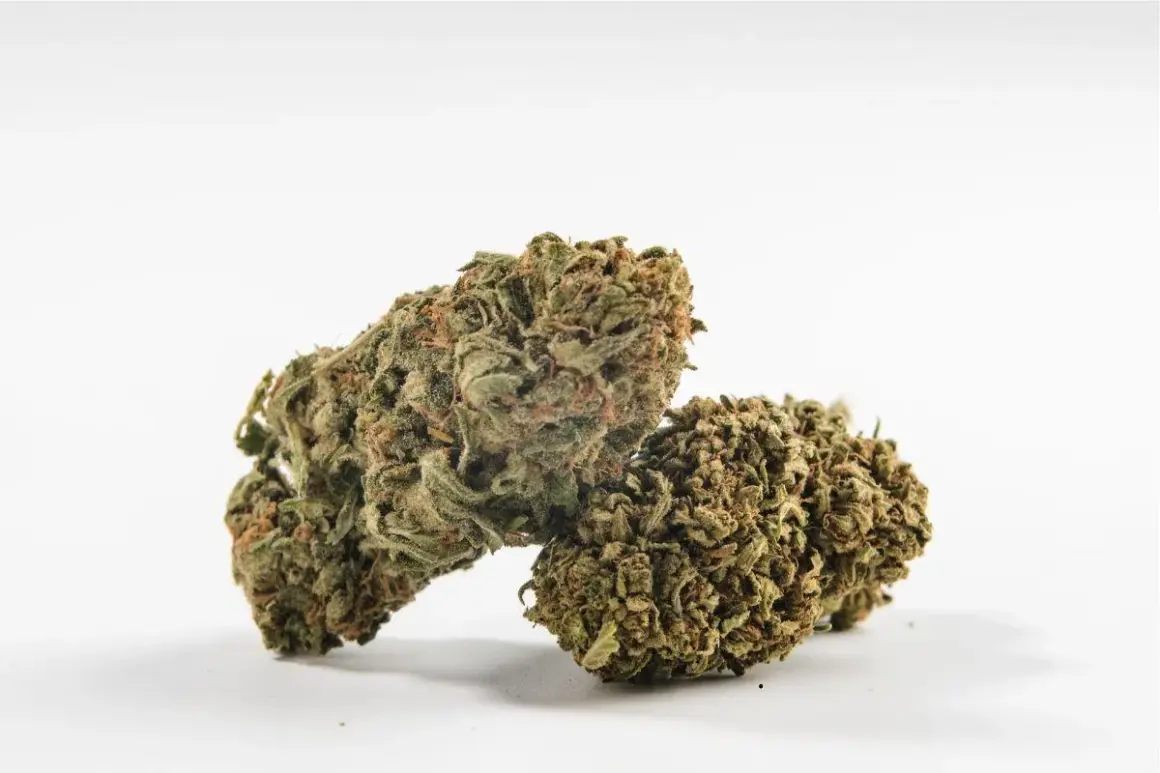 Due cime di cannabis, con sfumature verdi e arancioni, pronte per un bioboost naturale.