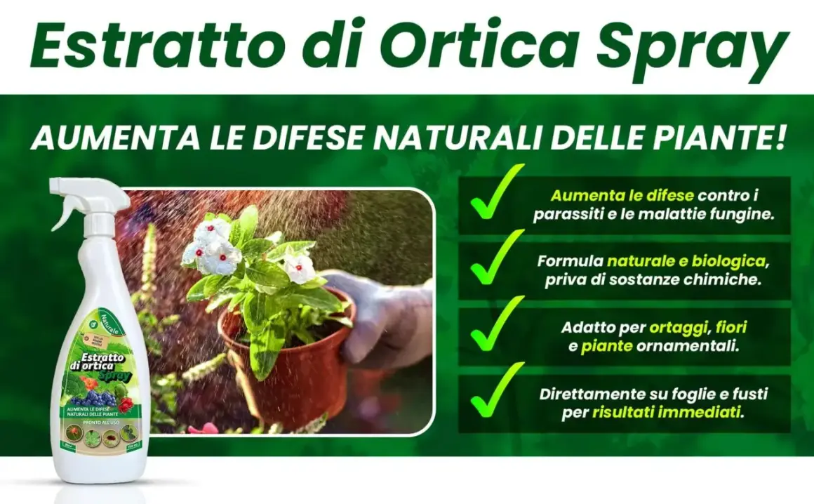 Spray di ortica, un insetticida naturale che potenzia le difese delle piante contro parassiti e malattie. Formula biologica per ortaggi e fiori.