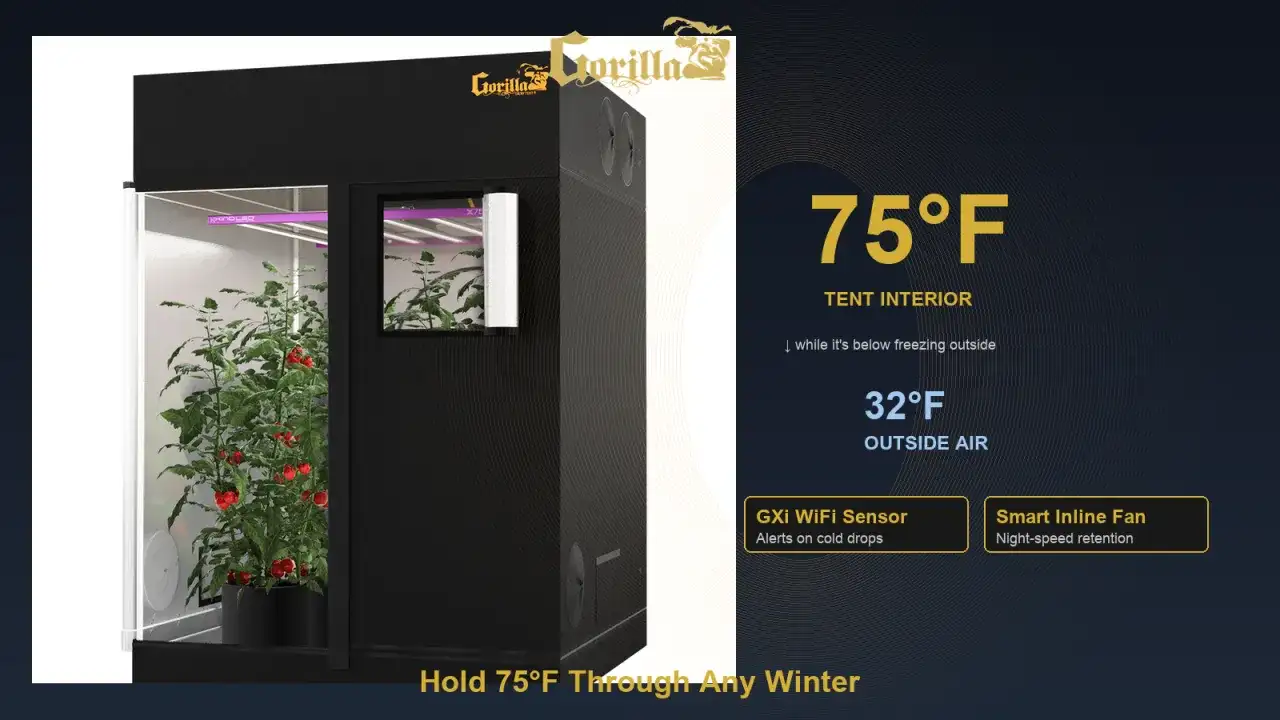 Riscaldare il Grow Box - Guida Completa per Risultati al Top