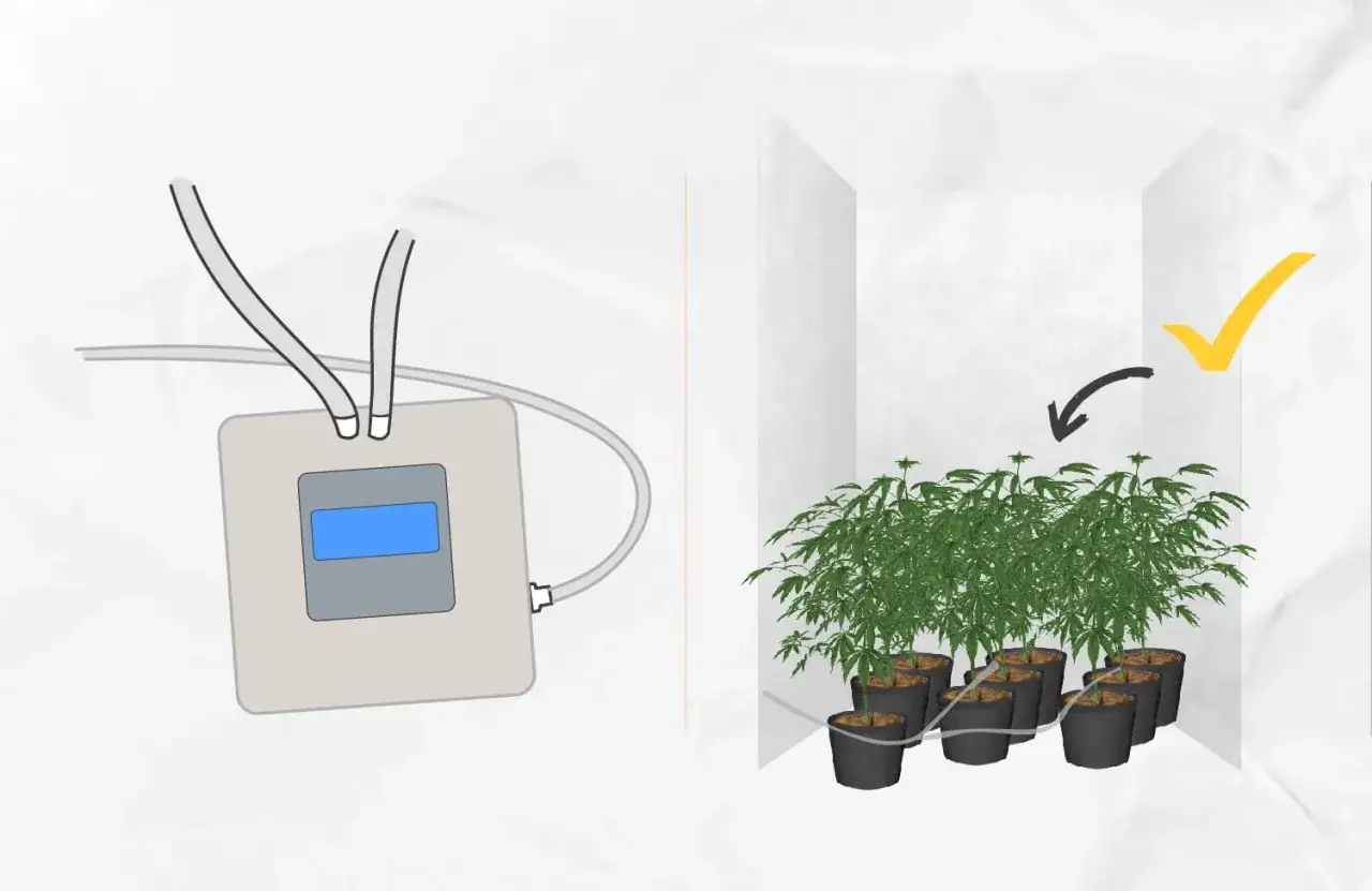 Flusso e riflusso in grow box, guida pratica per iniziare