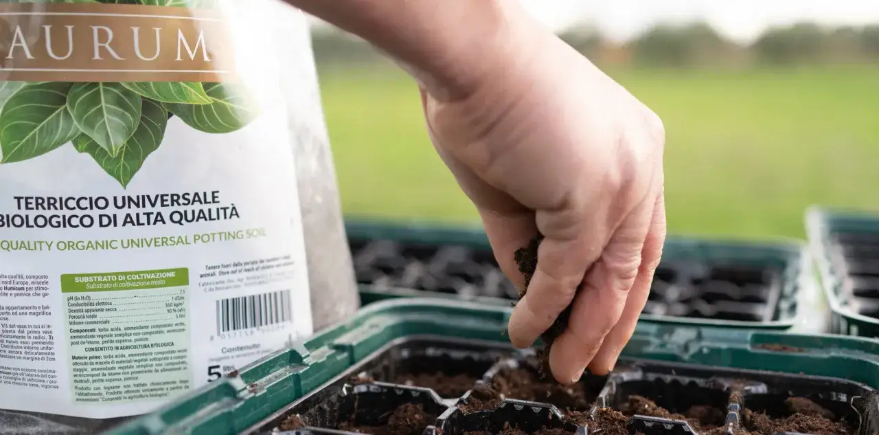 Mani che riempiono vasetti con terriccio biologico, ideale per sapere quando piantare broccoli e altre piantine.
