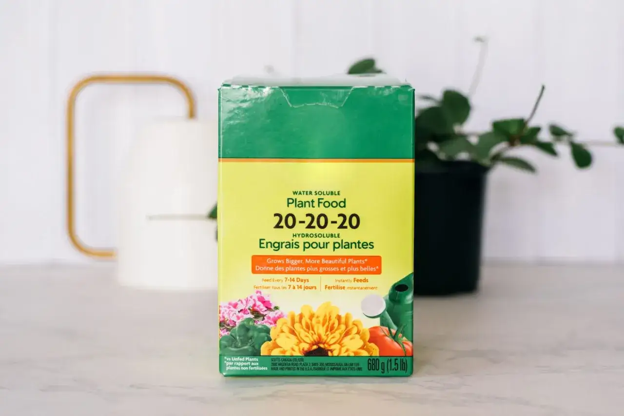 Scatola di bioflores 20-20-20 per piante, con immagini di fiori e verdure. Promette piante più grandi e belle.