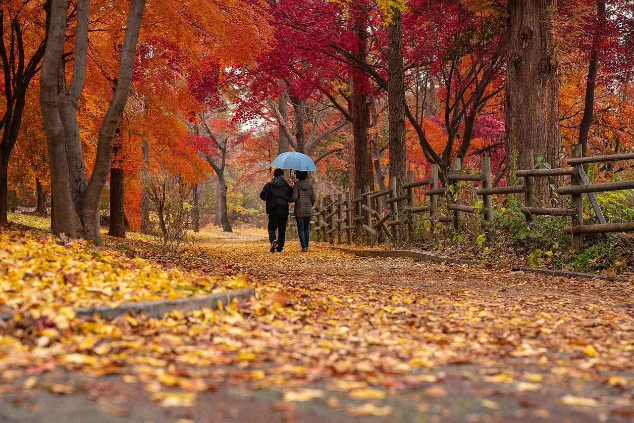 Coppia passeggia sotto un ombrello blu su un sentiero coperto di foglie autunno, circondati da alberi dai colori vivaci.