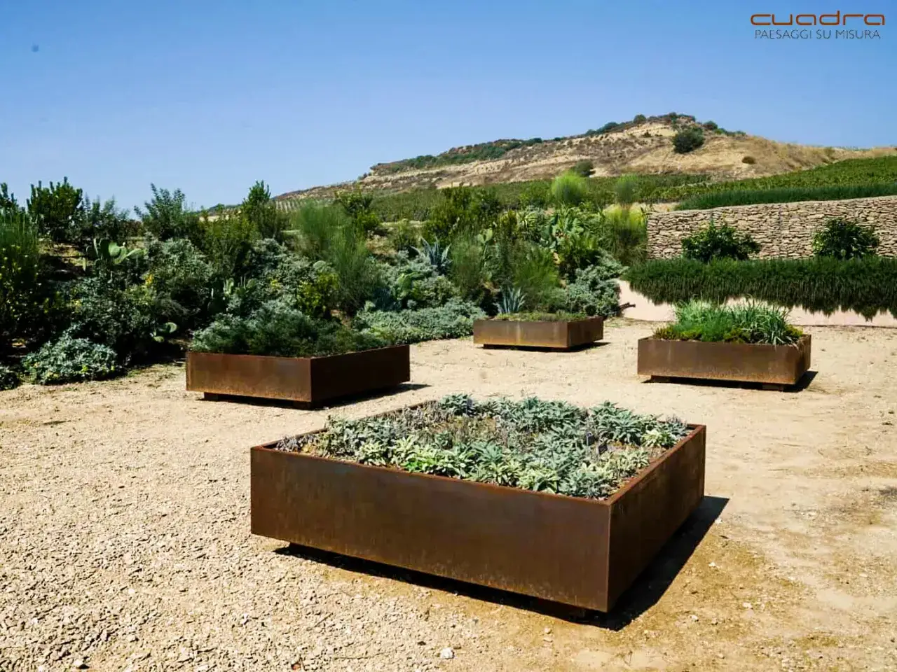 Contenitori in corten per un moderno schema per fare l'orto, con piante mediterranee e sfondo collinare.