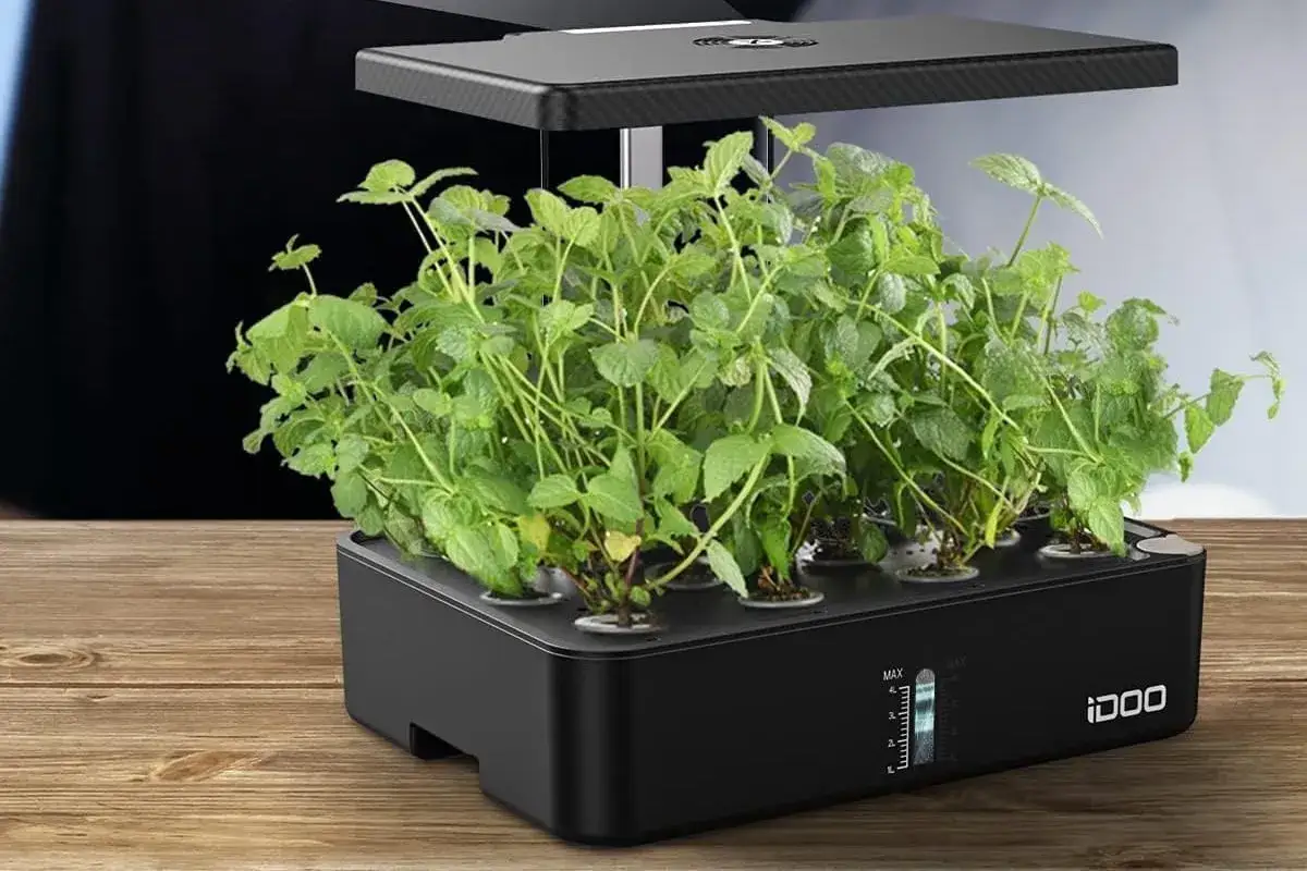 Un sistema di coltivazione in serra idroponica con rigogliose piantine di menta che crescono sotto una luce LED.