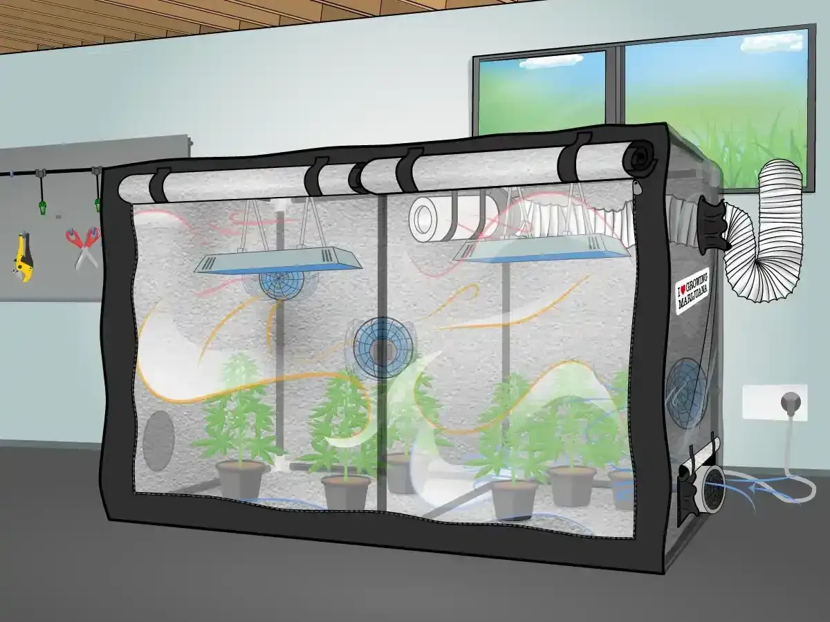 Grow box con piante, luci e ventola per la circolazione dell'aria. Un sistema di coltivazione indoor efficiente.
