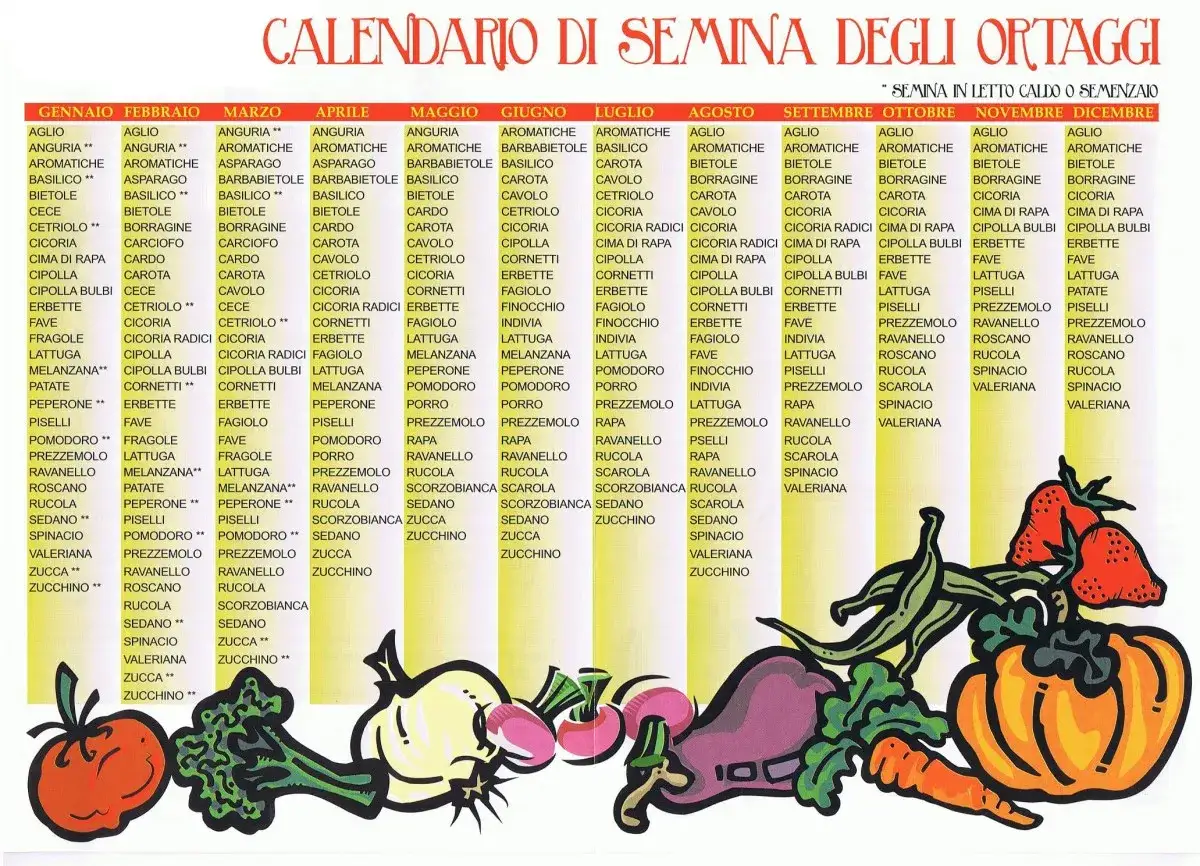 Calendario semina ortaggi: scopri cosa piantare mese per mese per un orto rigoglioso.