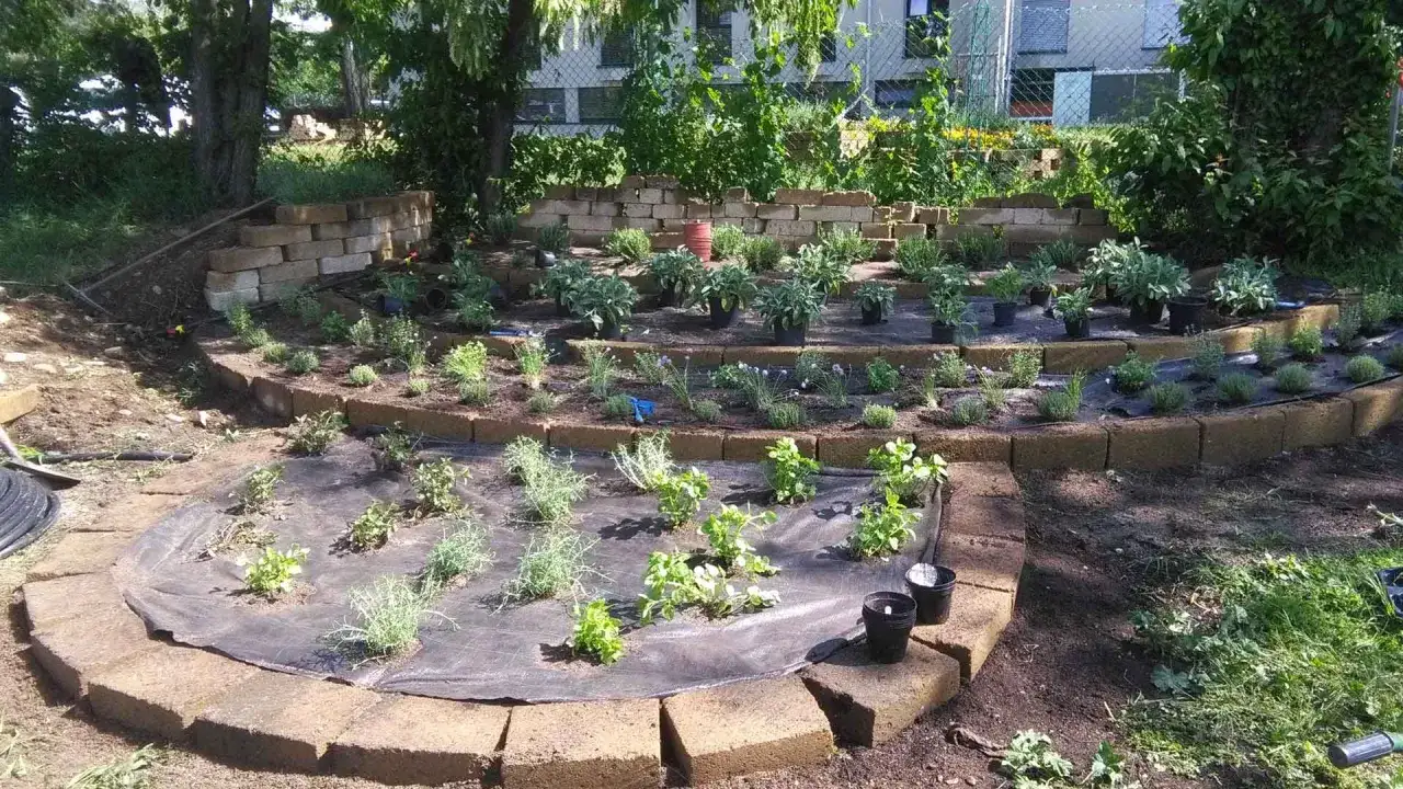 Giardino a terrazze con piante aromatiche. Sembra che qualcuno abbia aggiunto un po' di zucchero nelle piante per farle crescere meglio.