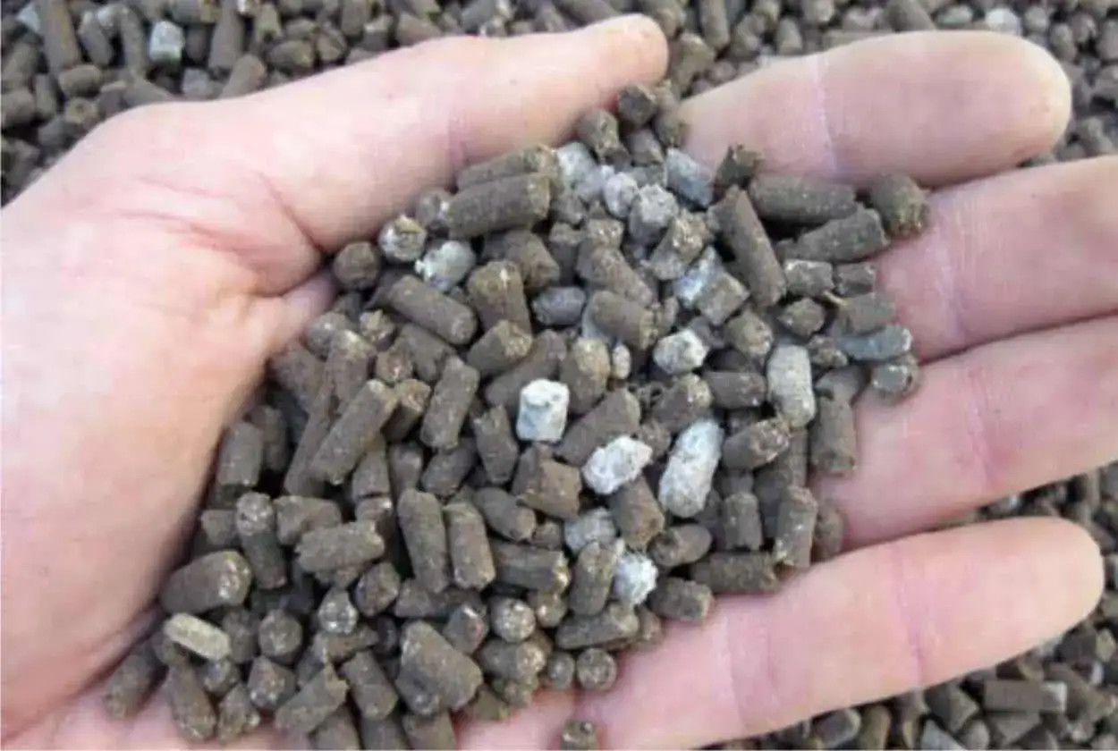 Mano che tiene stallatico pellettato, un fertilizzante che può bruciare le radici se usato in eccesso.