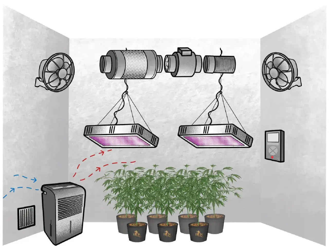 Un deumidificatore professionale in una grow room con piante, luci LED e ventilatori per un ambiente ottimale.
