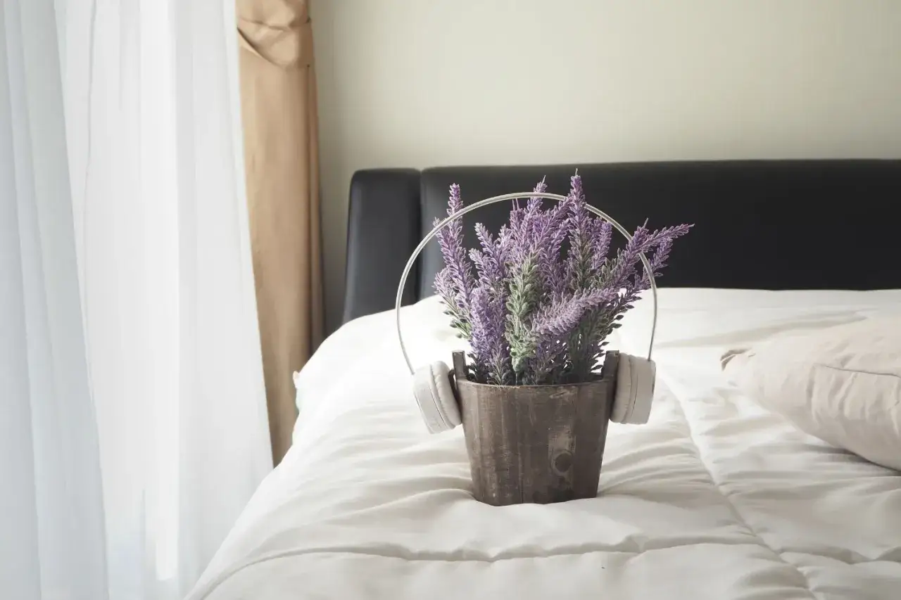 Pianta di lavanda in vaso con cuffie, su un letto in camera da letto. Relax e profumo.