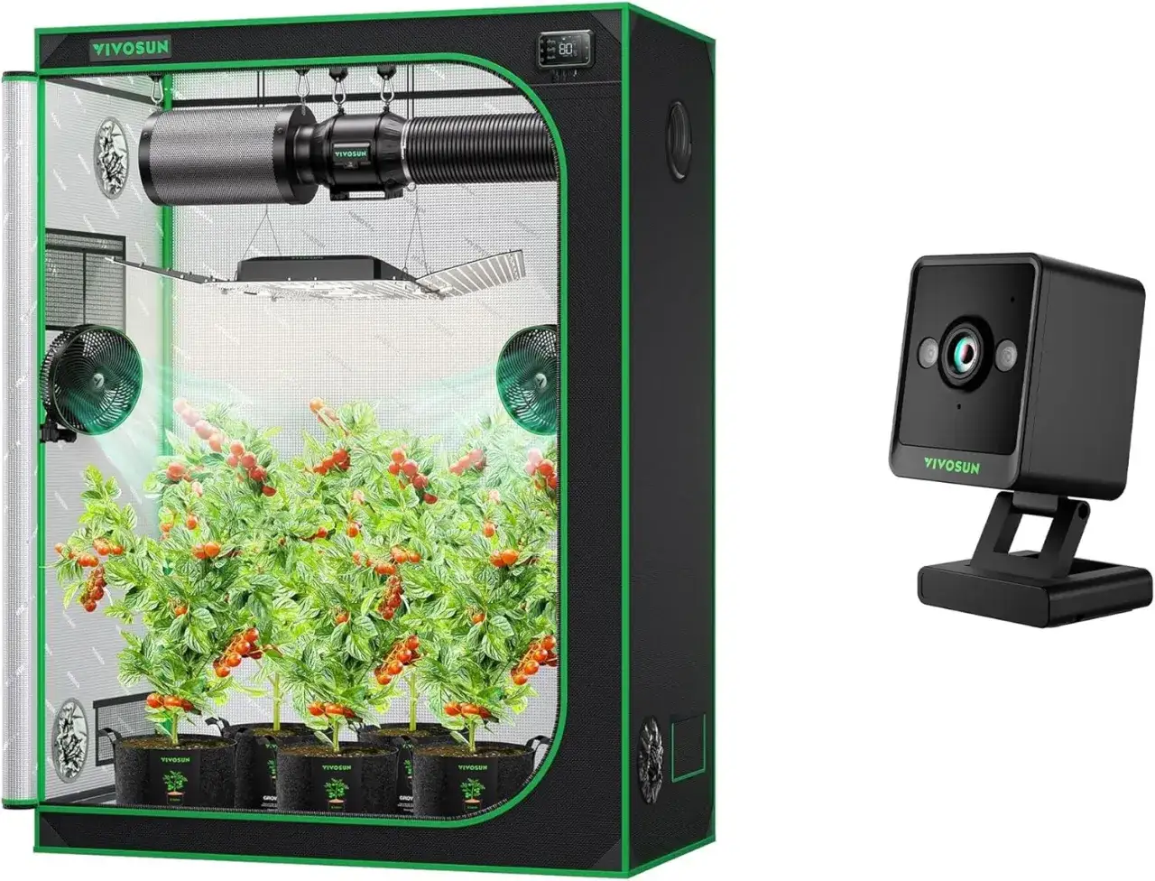 Una grow box piccola con piante di pomodoro rigogliose, ventilatori, lampada e una telecamera di sorveglianza.