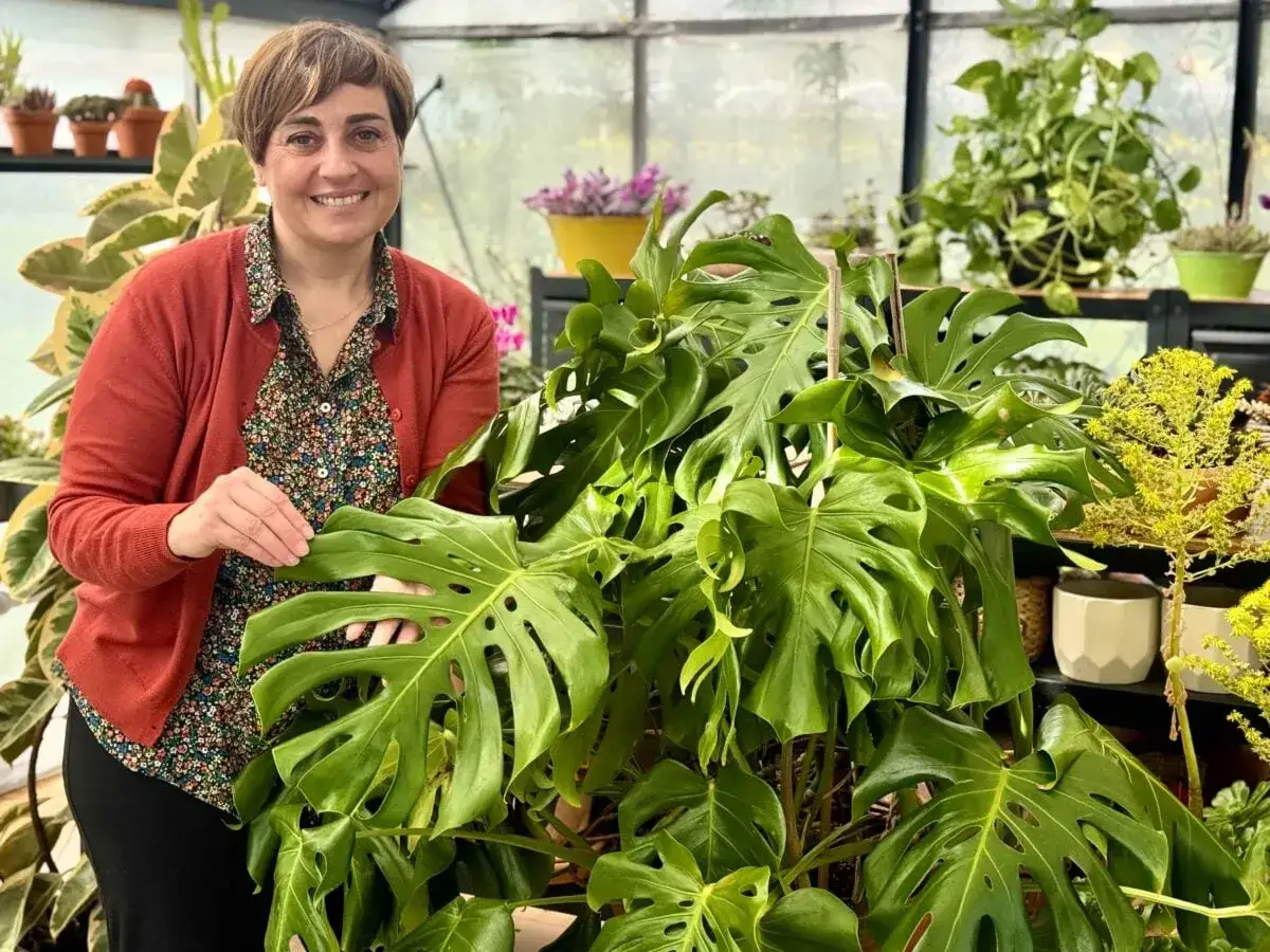Donna sorride accanto a una rigogliosa monstera deliciosa in serra. Le sue grandi foglie verdi traforate sono il punto focale.